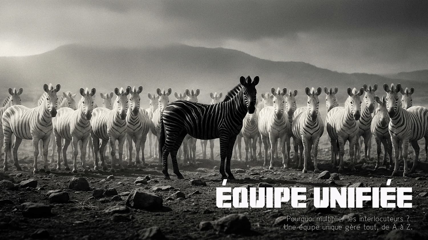 Marketing Numérique